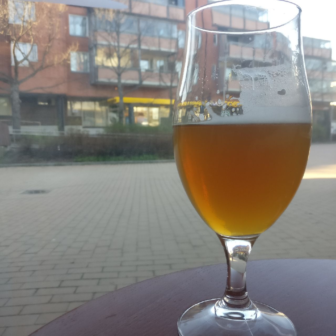 Trendipelle, Finland