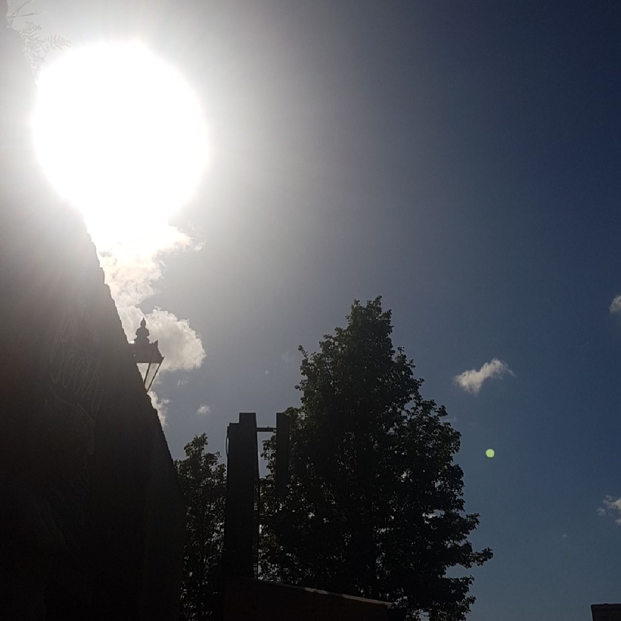 Botany Of Desire, England