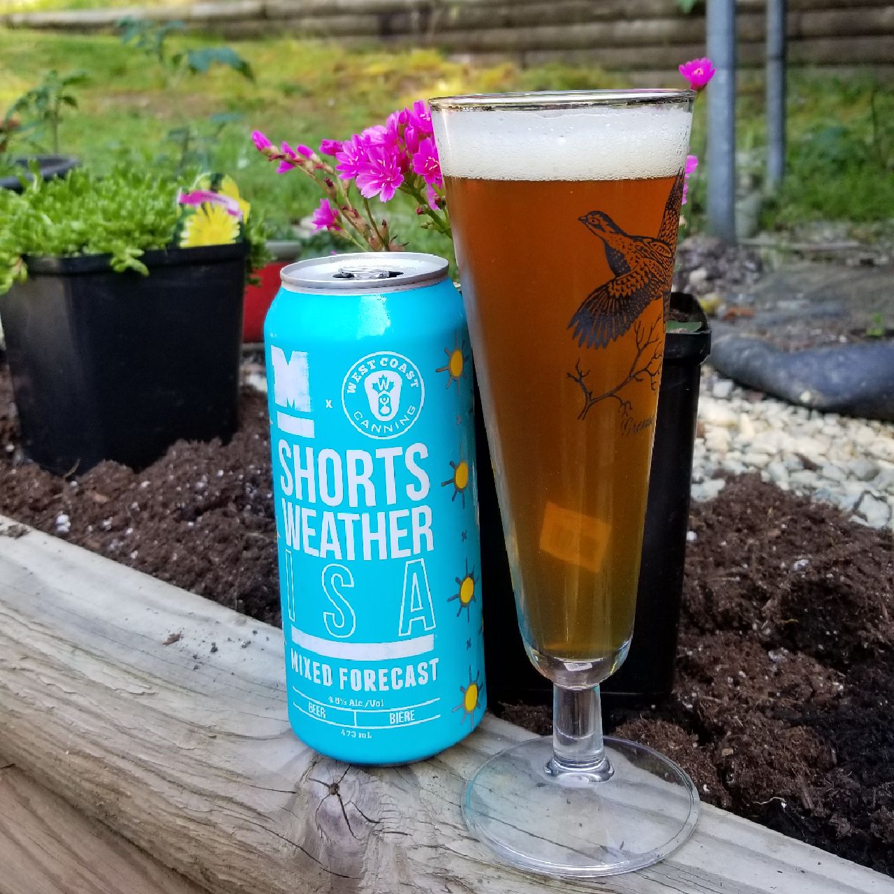 Shorts Weather ISA, Canada