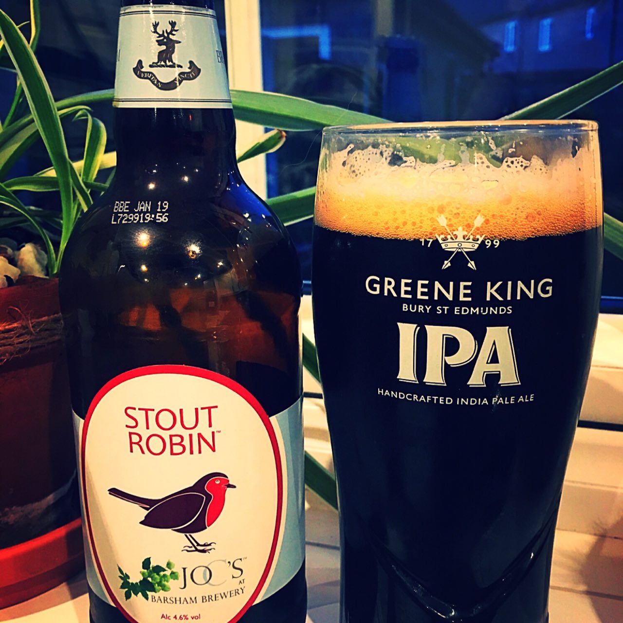 Stout Robin, England
