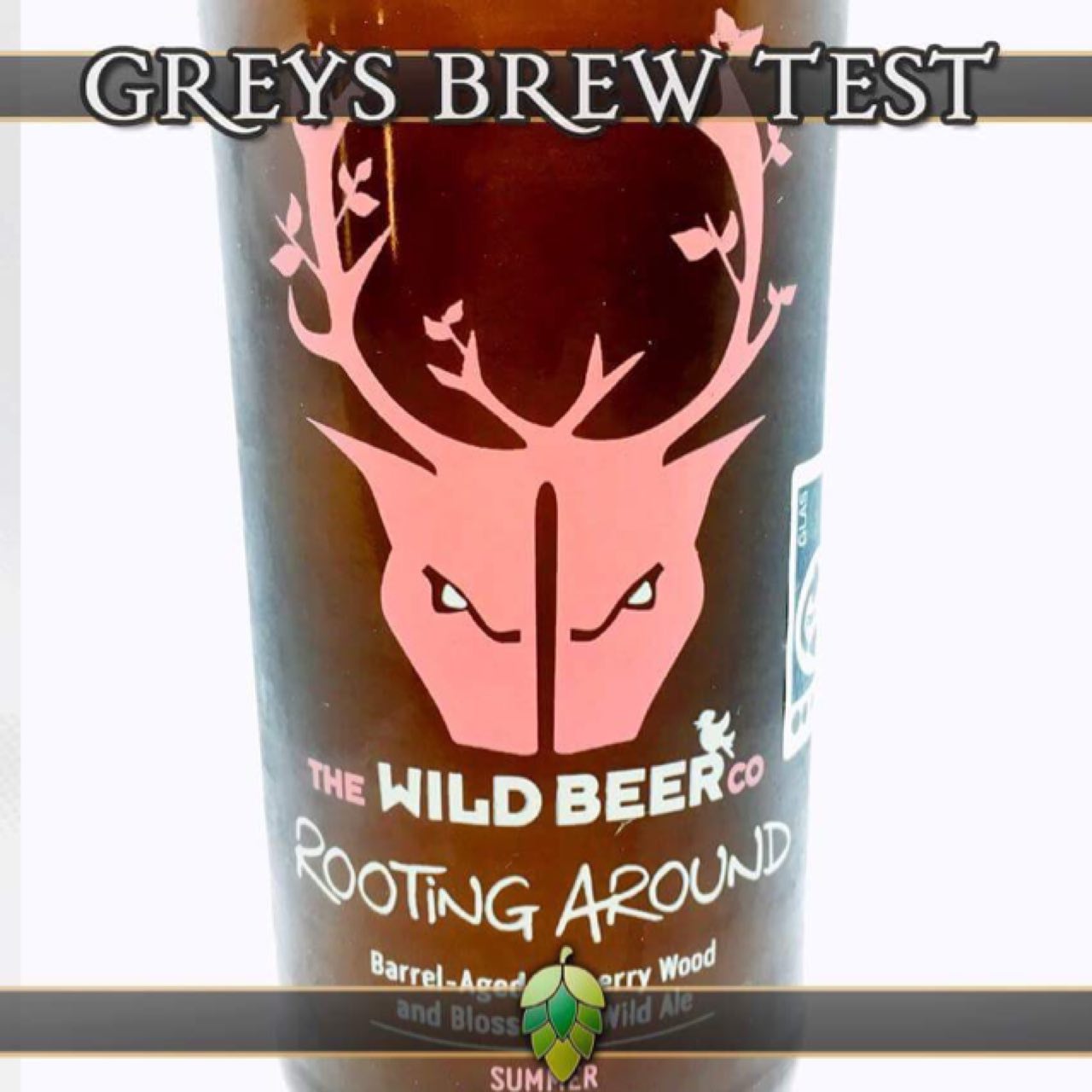 Rooting Around Summer, England