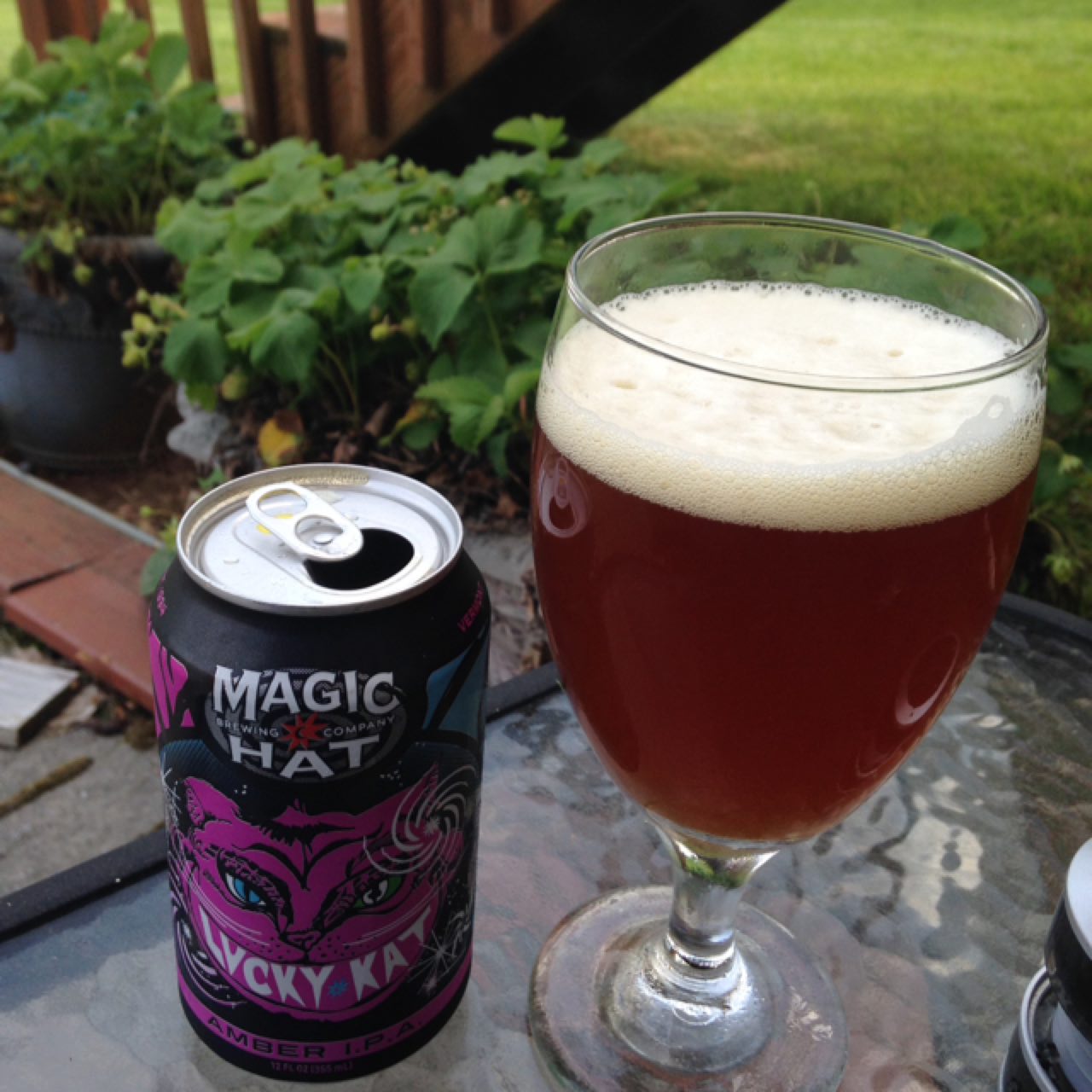 Lucky Kat, United States