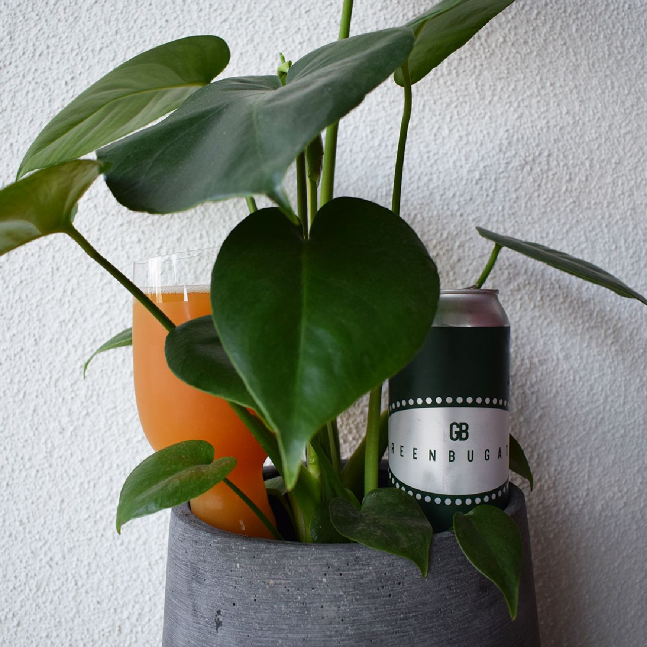 Greenbugatti, United States