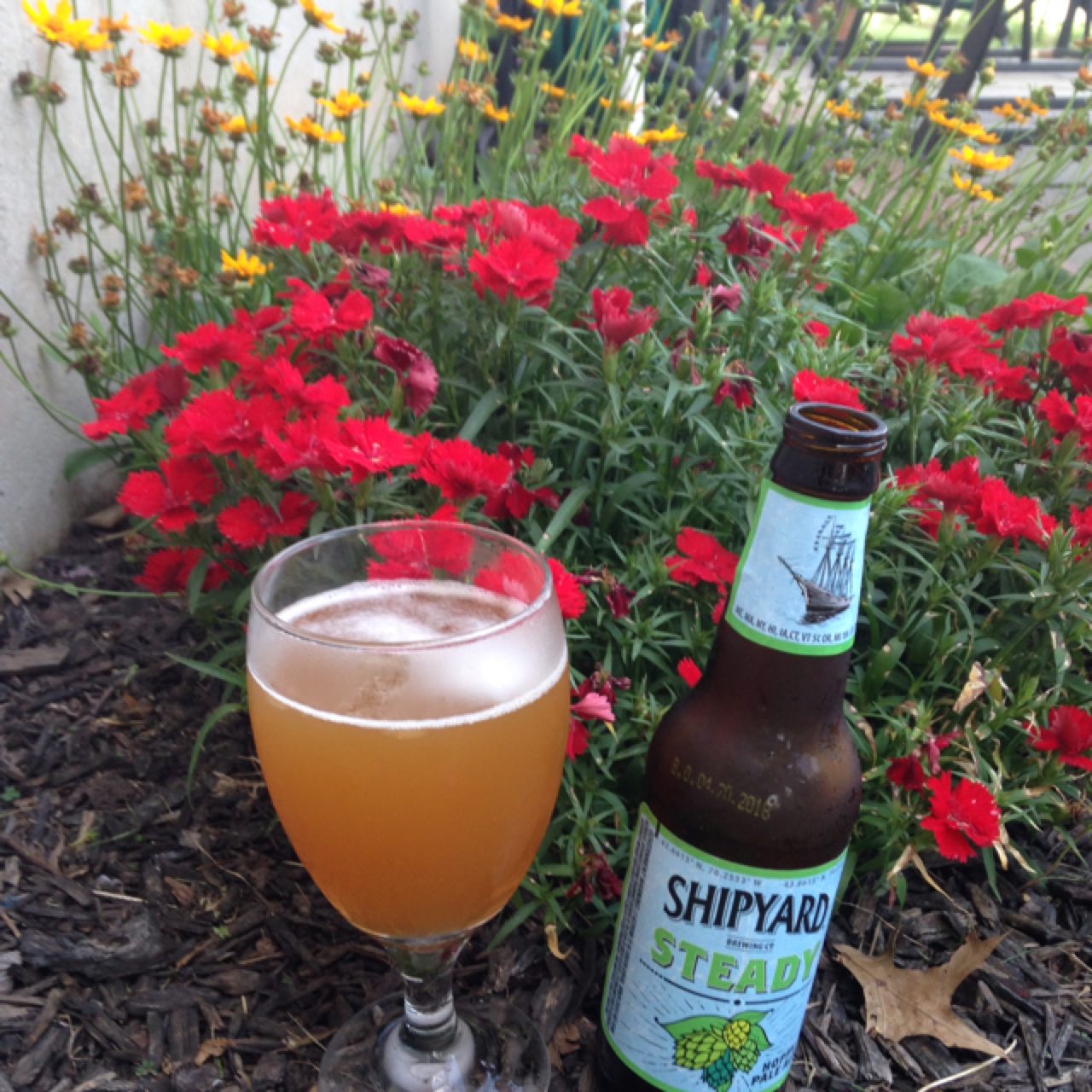 Steady Hoppy Pale Ale, United States