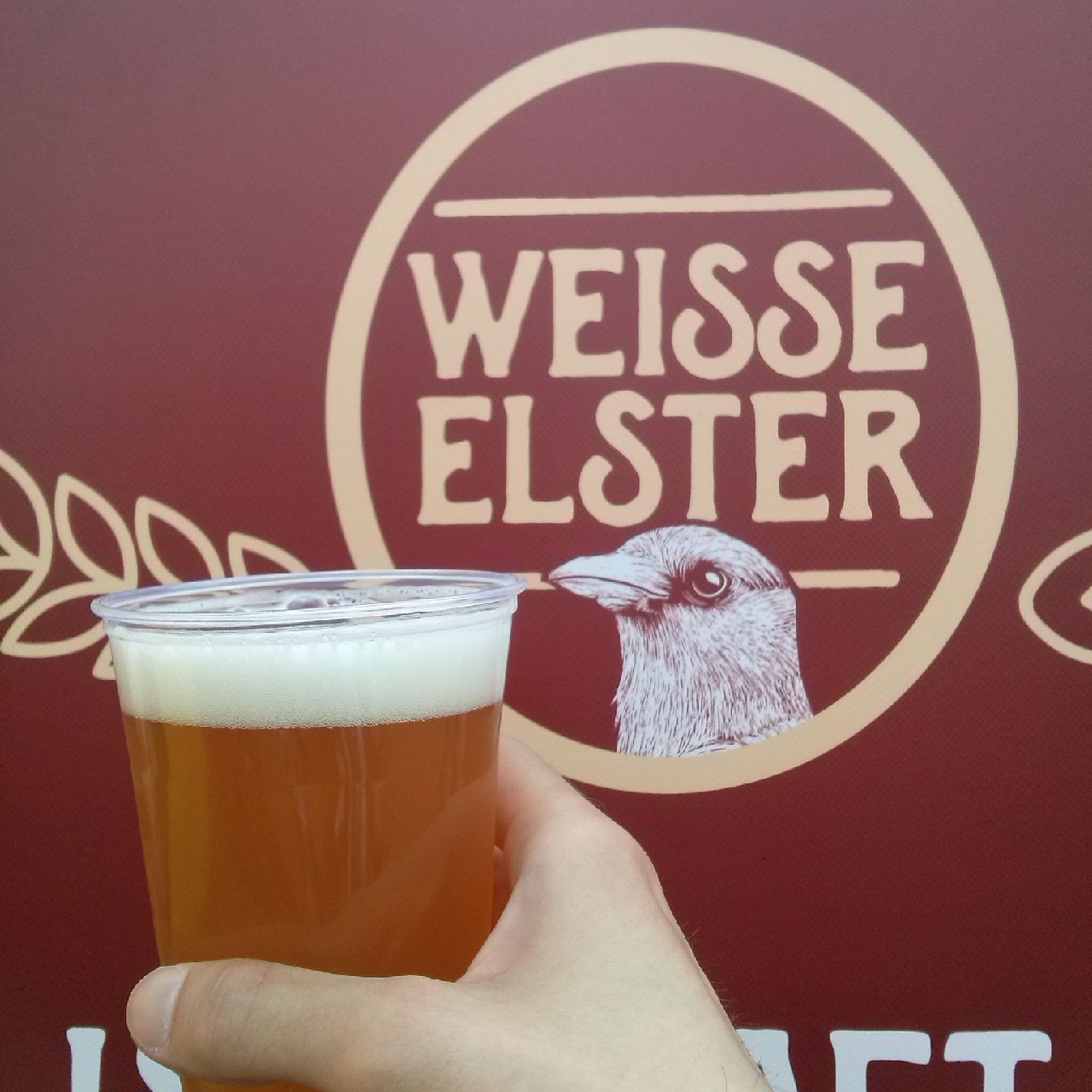 Weisse Elster Summer Ale, Germany