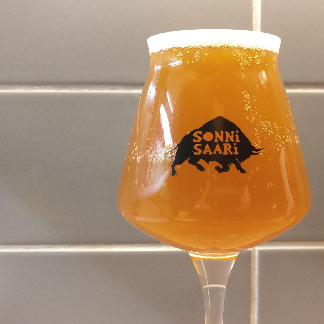 Aprikosmos v. 2.0, Finland