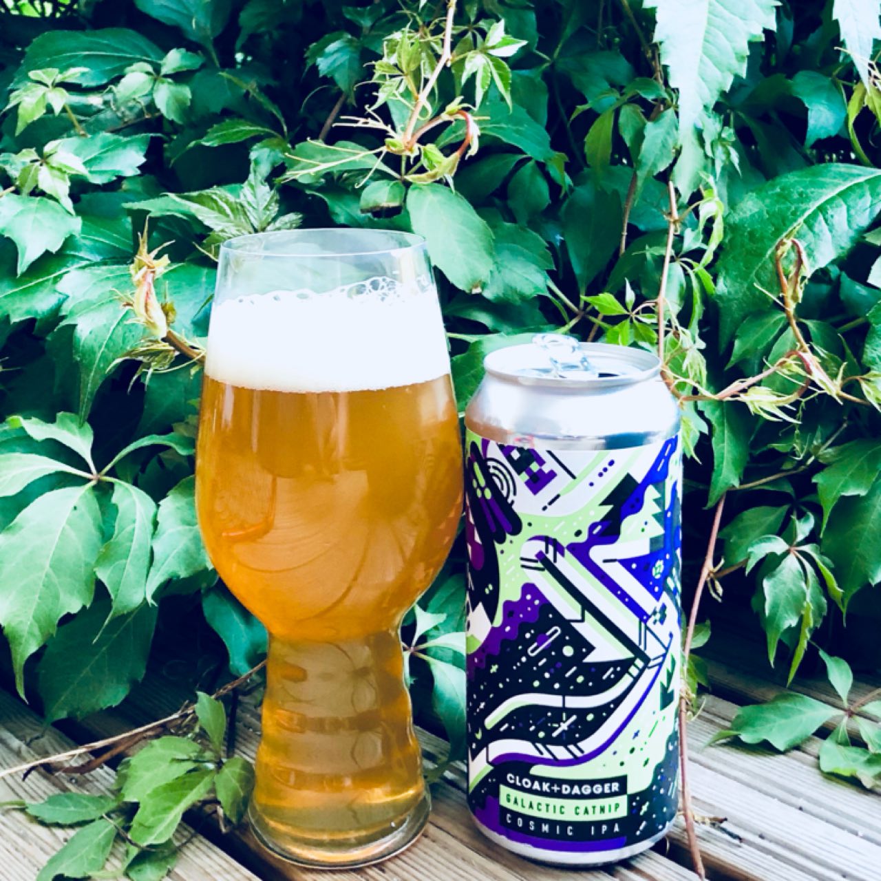 Galactic Catnip, England