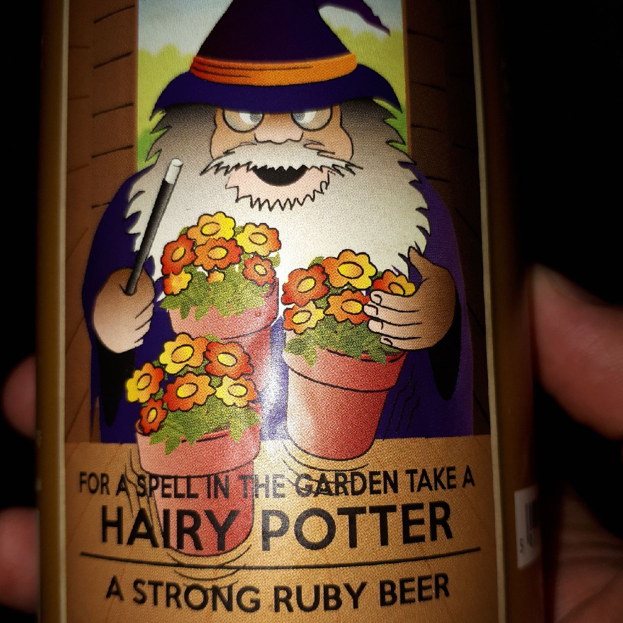 Hairy Potter, England