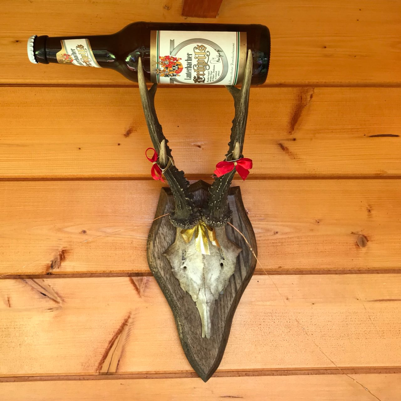 Lauterbacher Erbpils, Germany