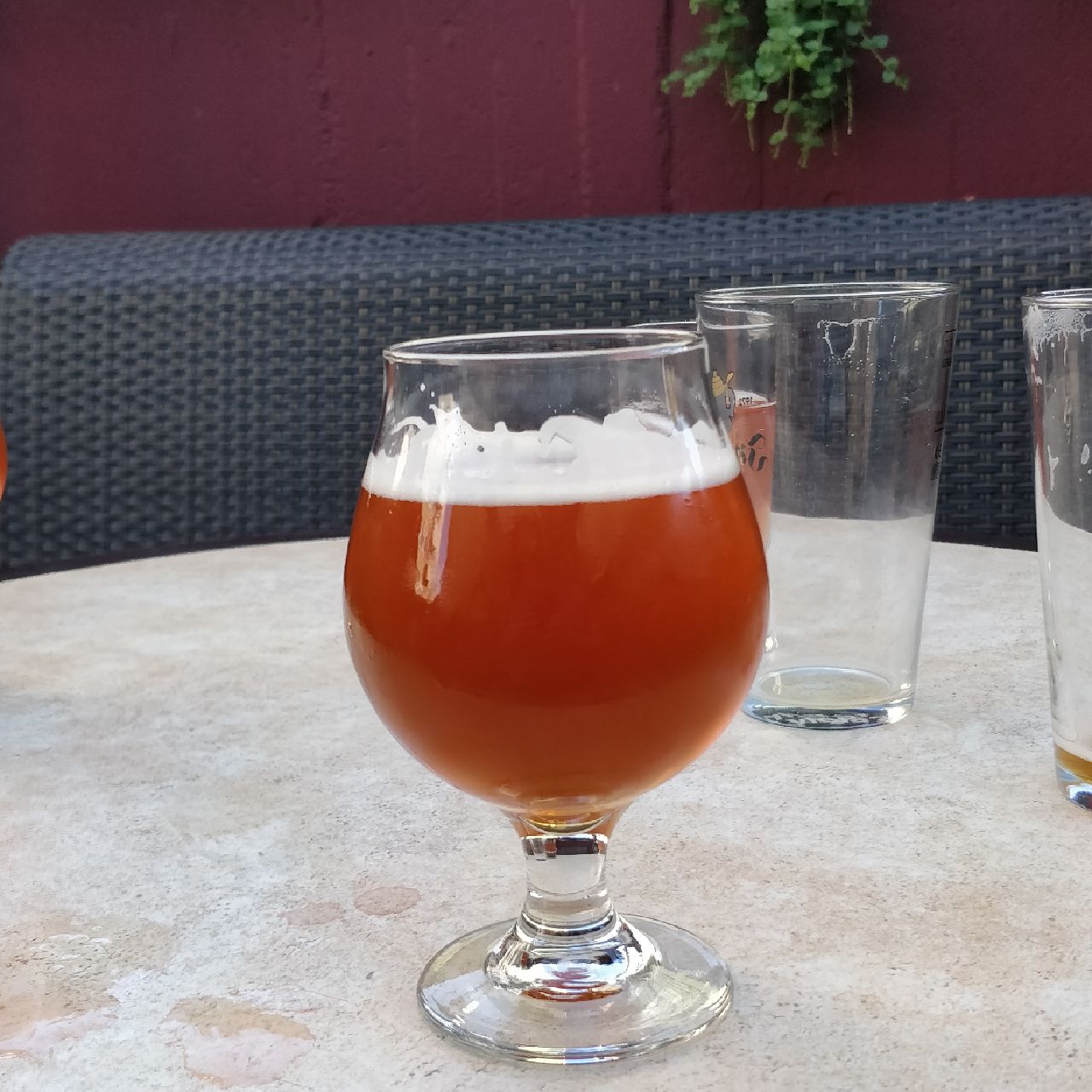 Single Hop Centennial IPA, Finland