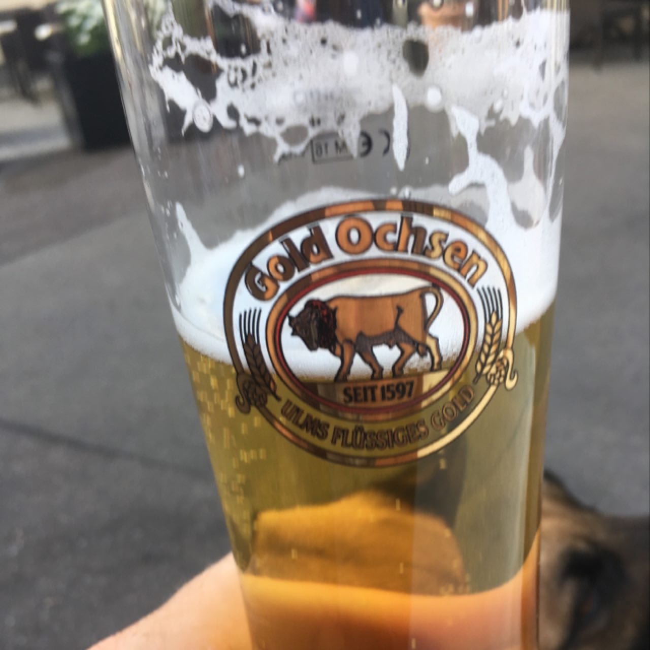 Gold Ochsen Pils, Germany