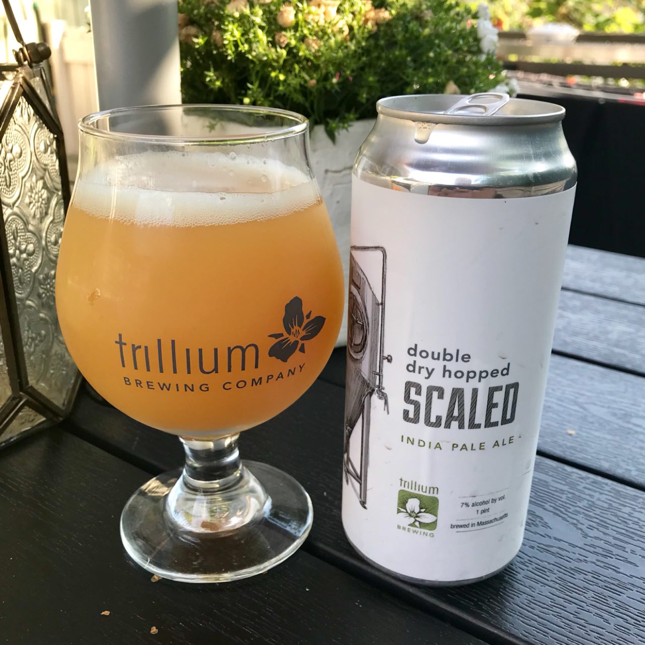 Double Dry Hopped Scaled, United States