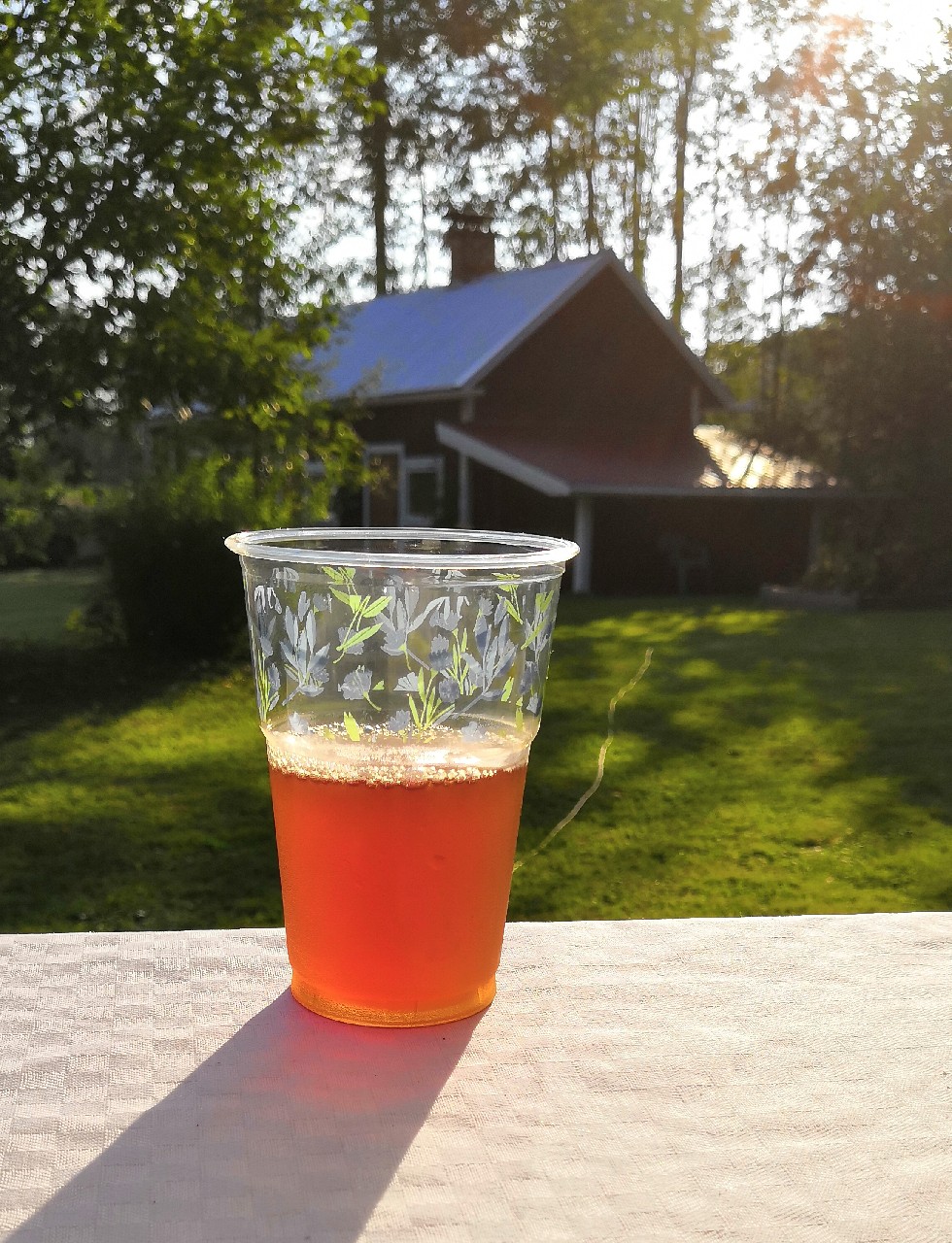 Satajuhlasahti, Finland