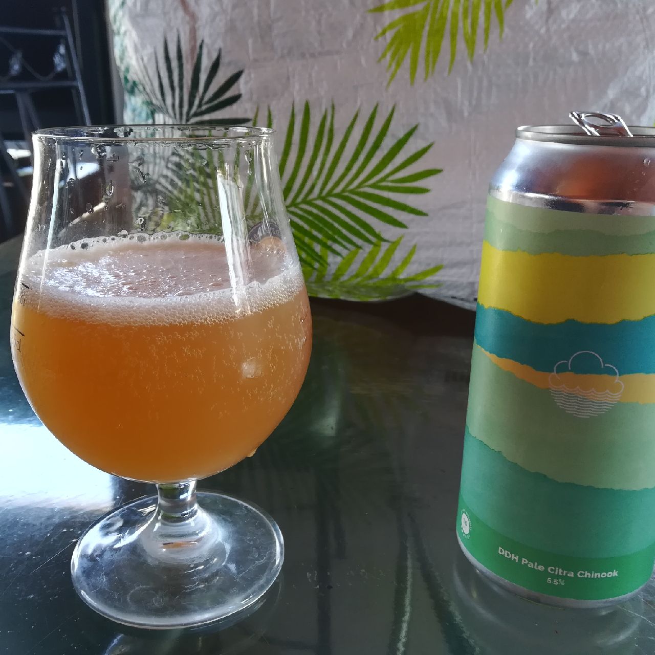Spring•Summer DDH Pale Citra Chinook (2018), England