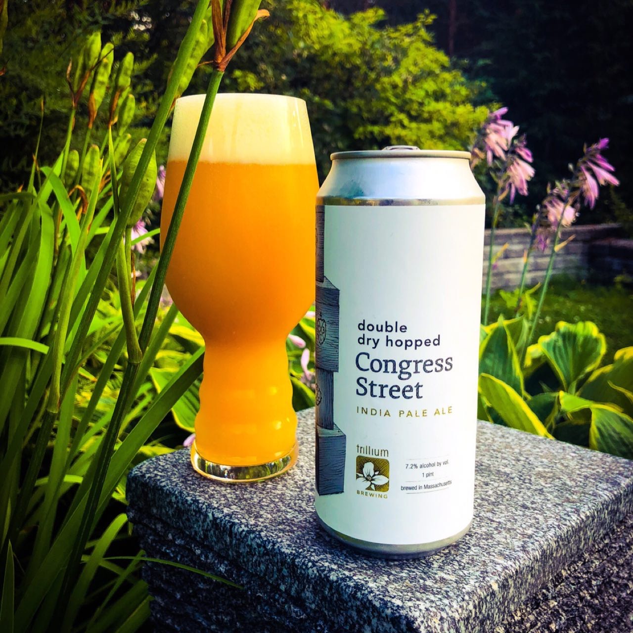 Double Dry Hopped Congress Street, United States