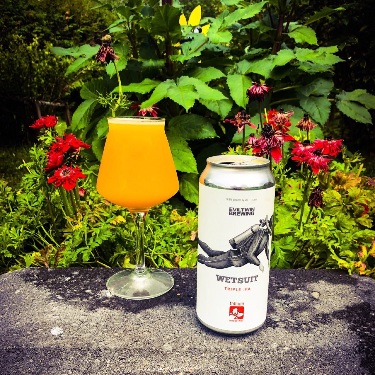 Wetsuit, United States