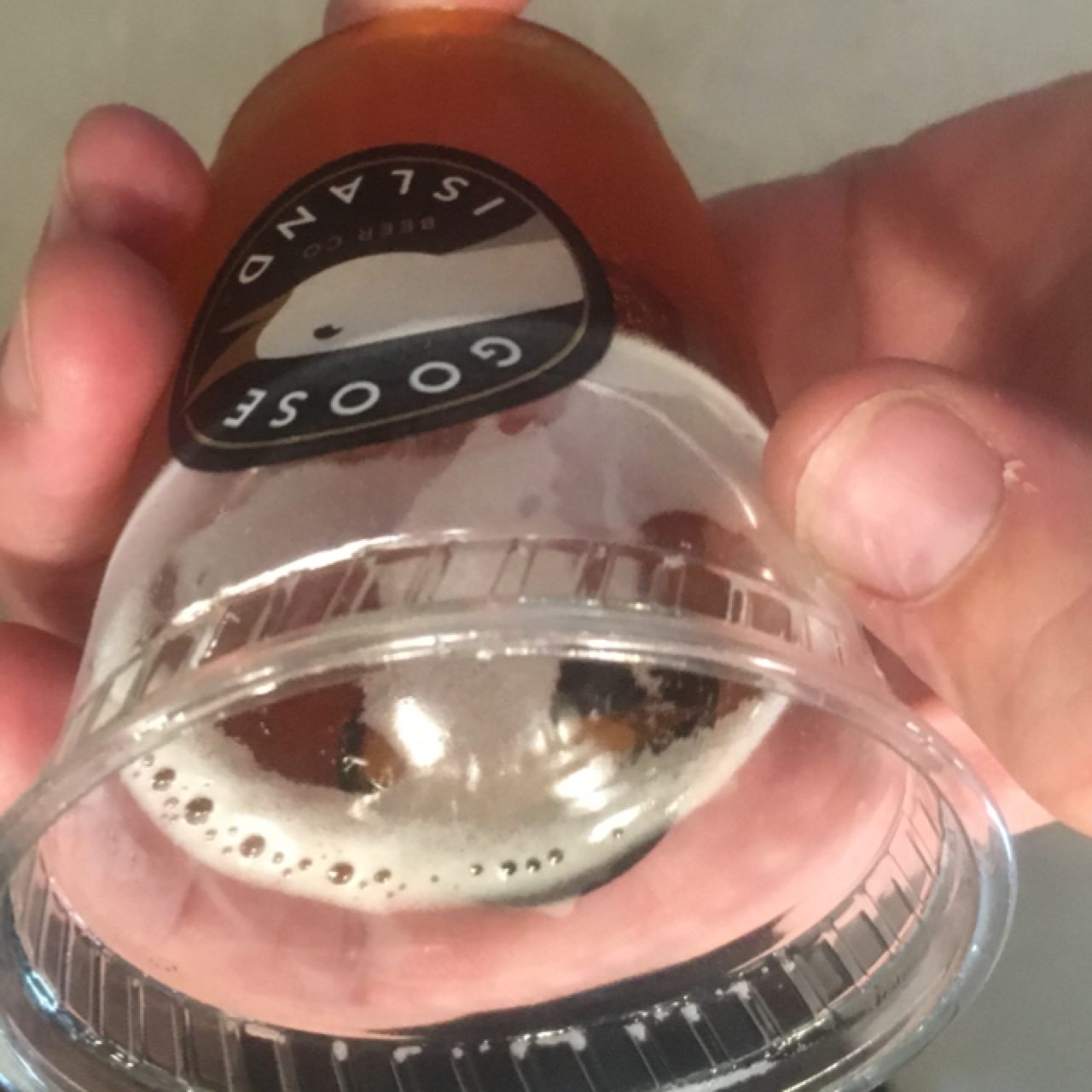 Wanderer IPA, United States