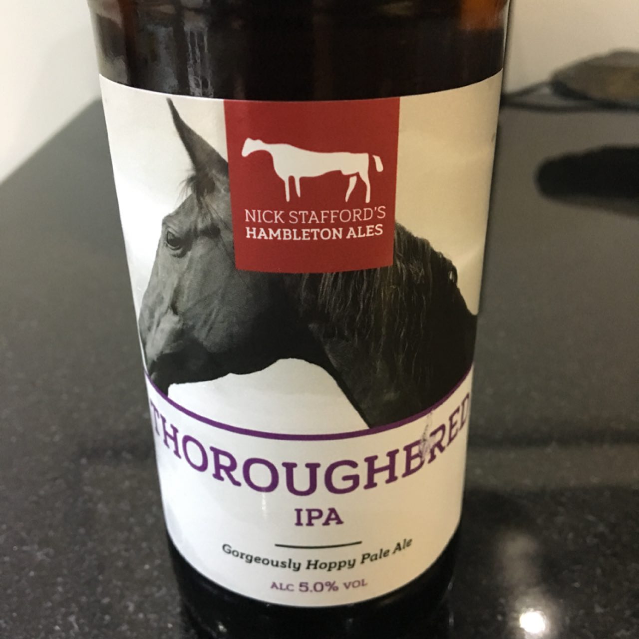 Thoroughbred, England