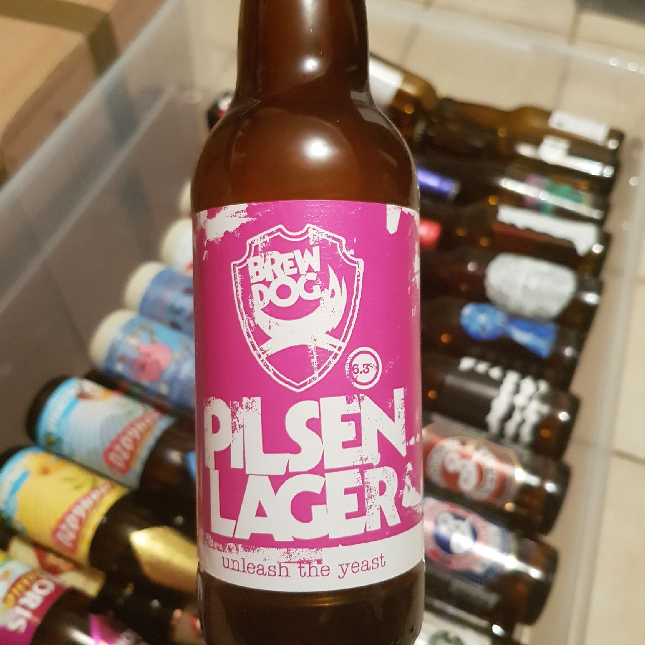 Unleash The Yeast Pilsen Lager, Scotland