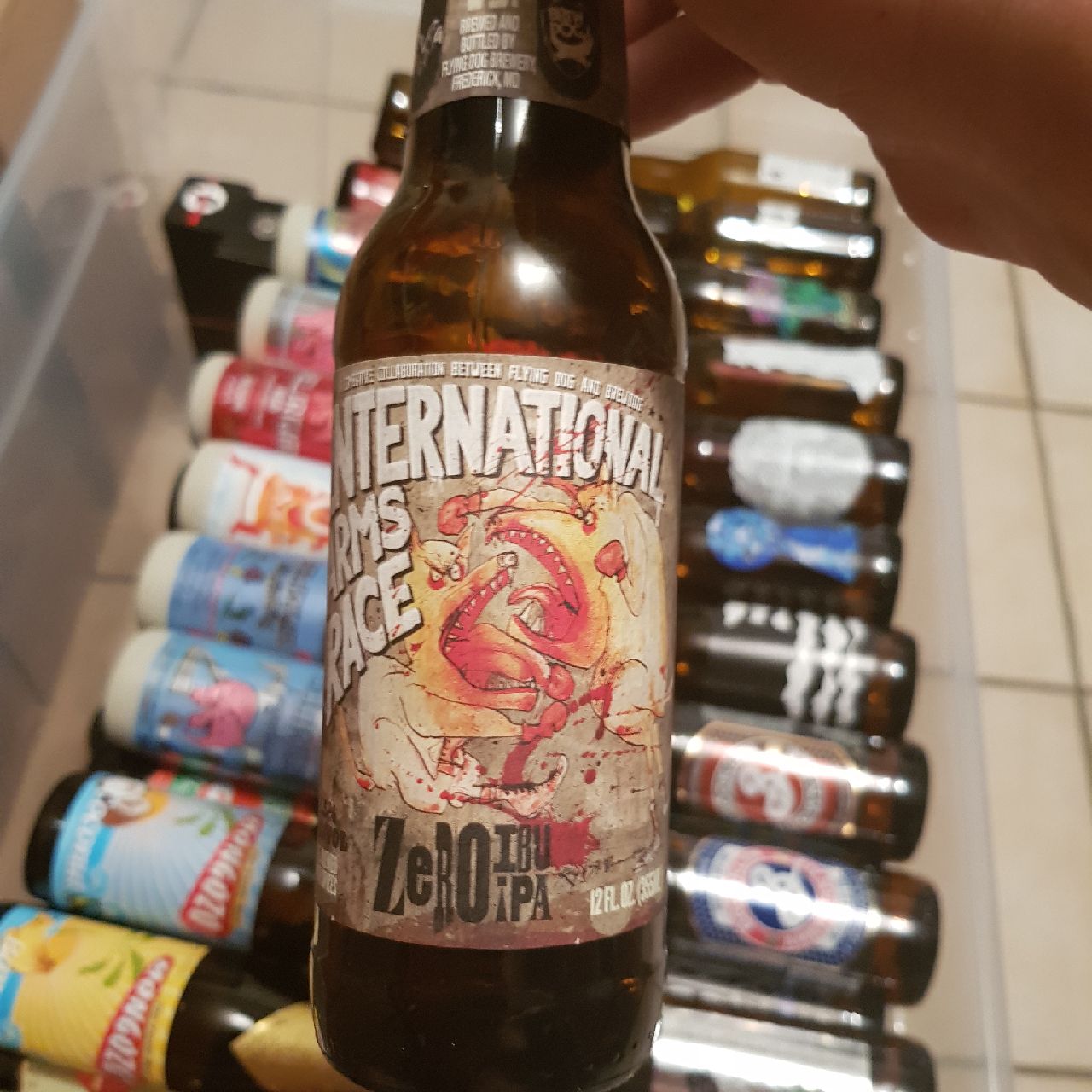 International Arms Race, United States