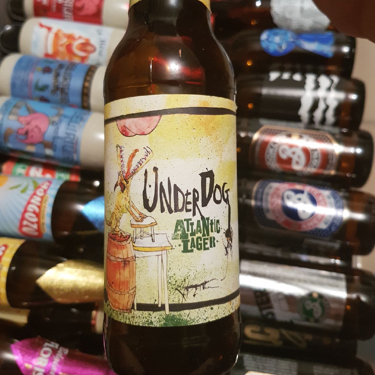UnderDog Atlantic Lager, United States