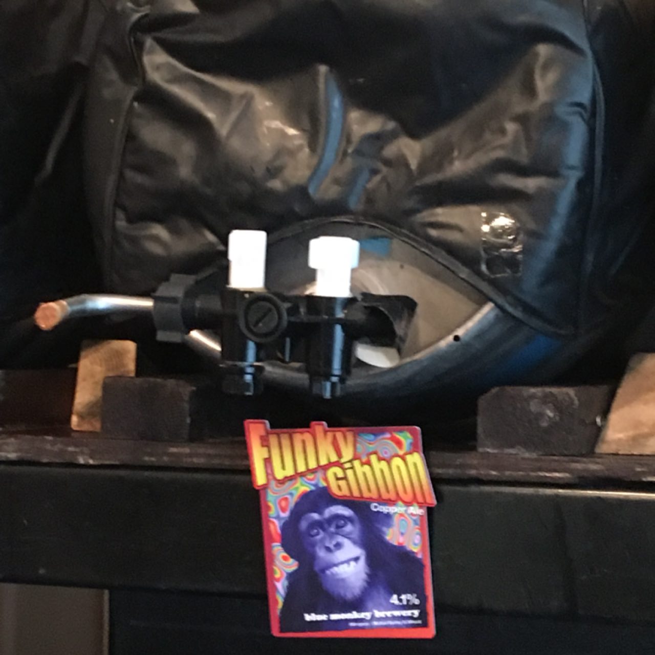 Funky Gibbon, England