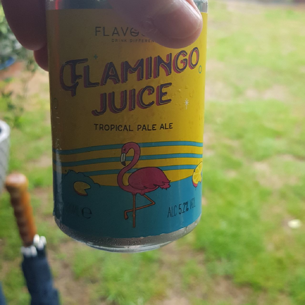 Flamingo Juice, England