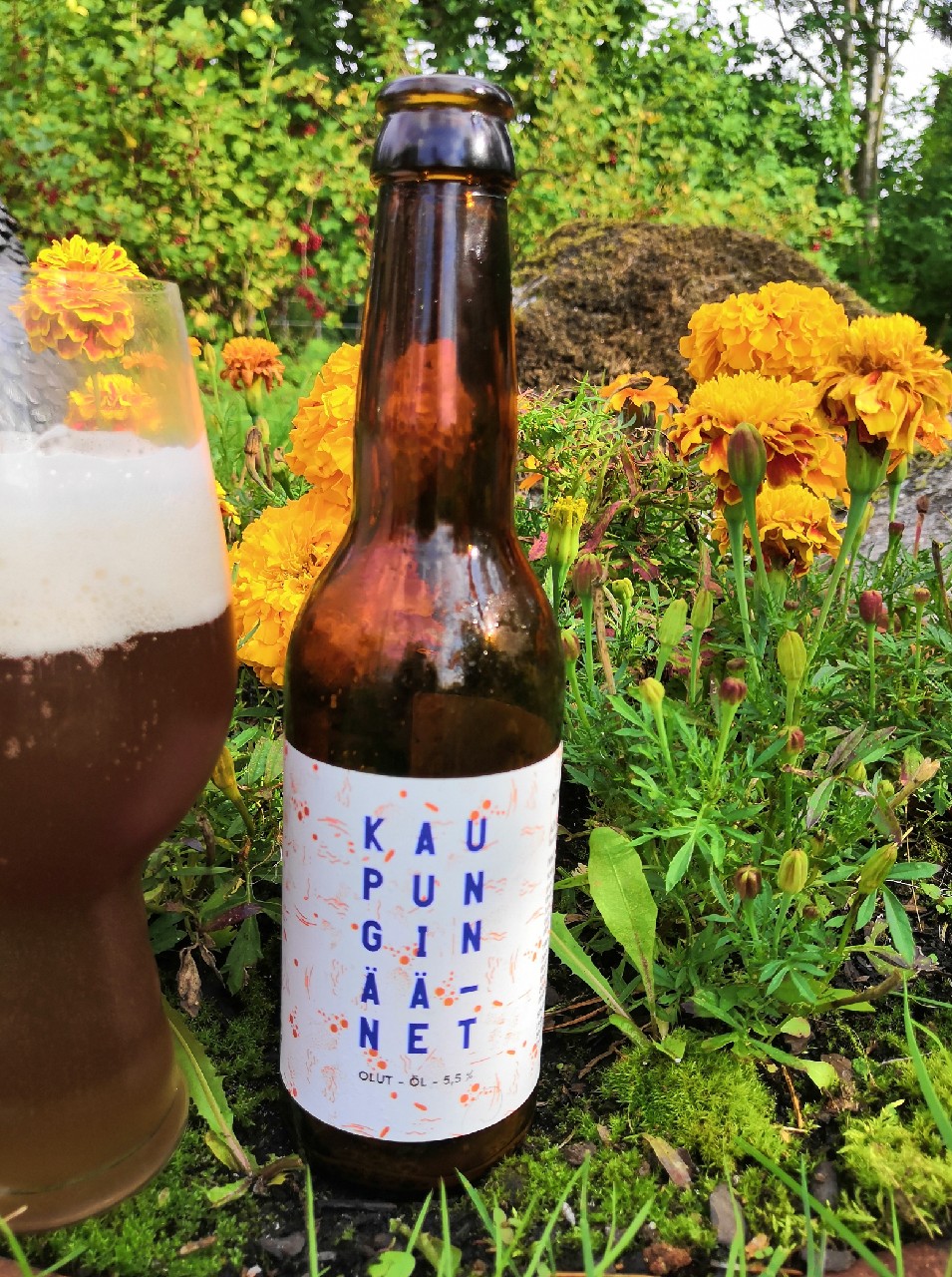 Kaupungin Äänet 2018, Finland