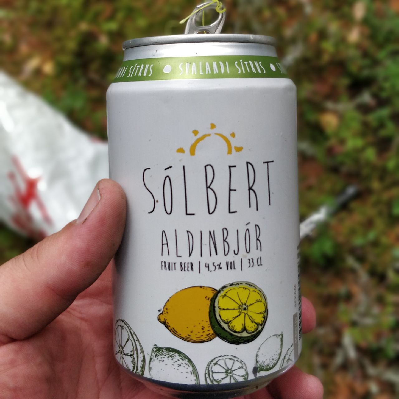 Sólbert Aldinbjör Fruit Beer, Iceland