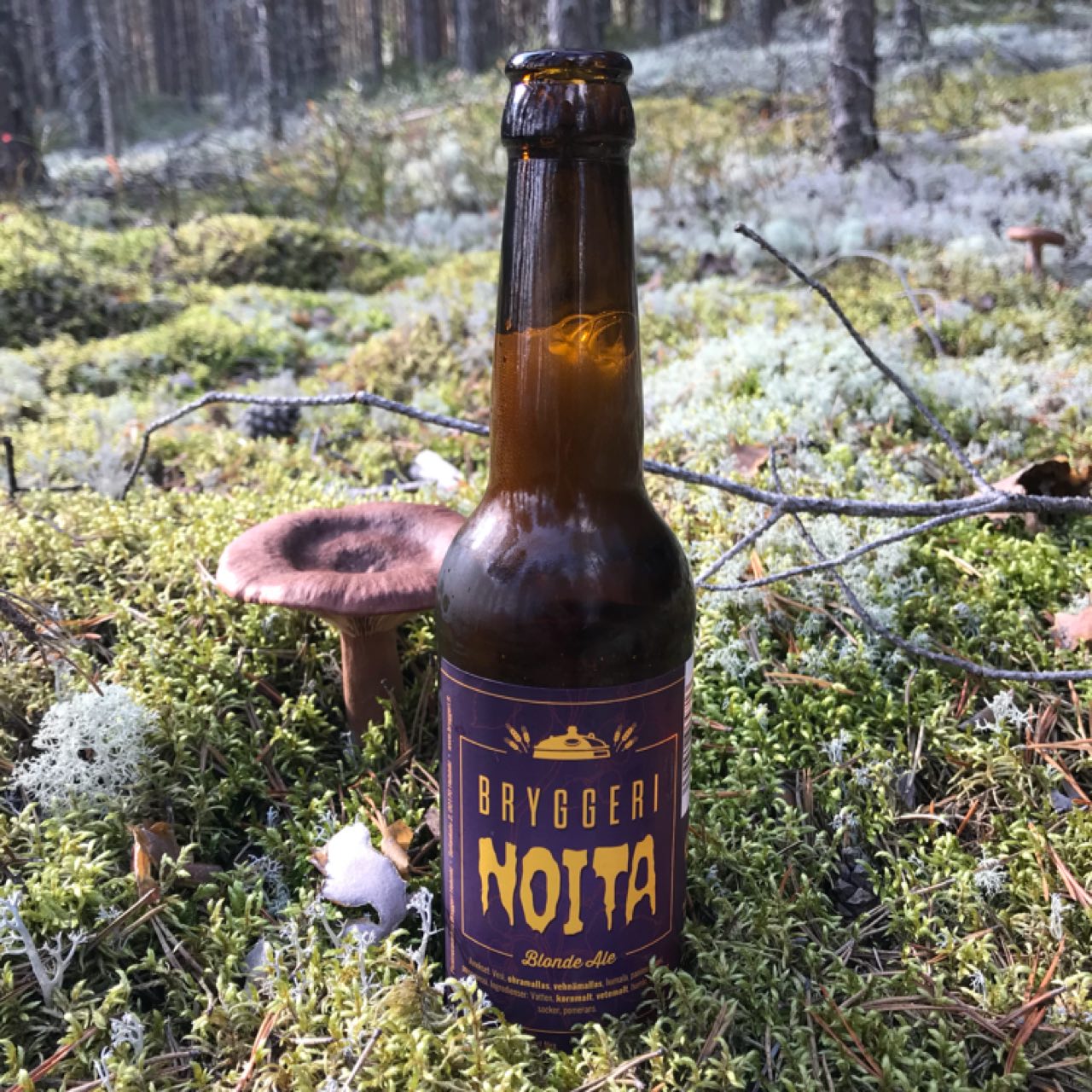 Noita, Finland