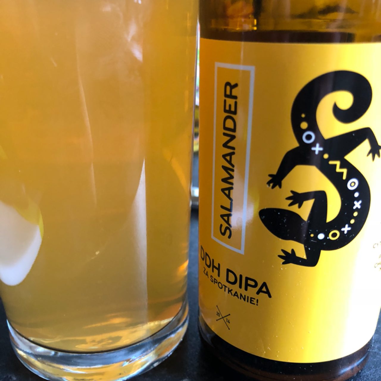 Salamander DDH DIPA, Poland