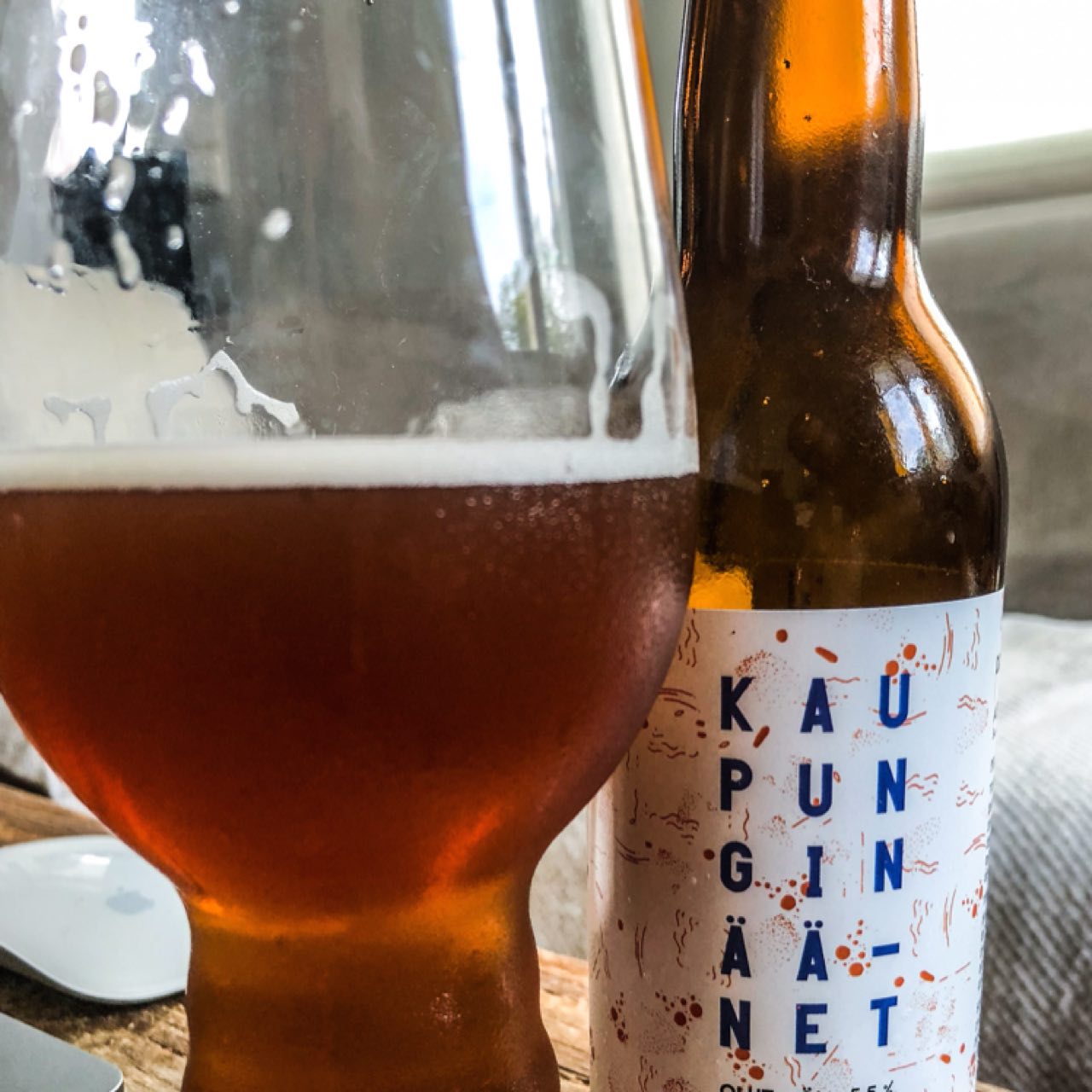 Kaupungin Äänet 2018, Finland