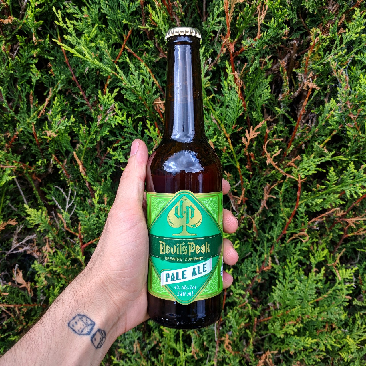 Devil's Peak Pale Ale, South Africa