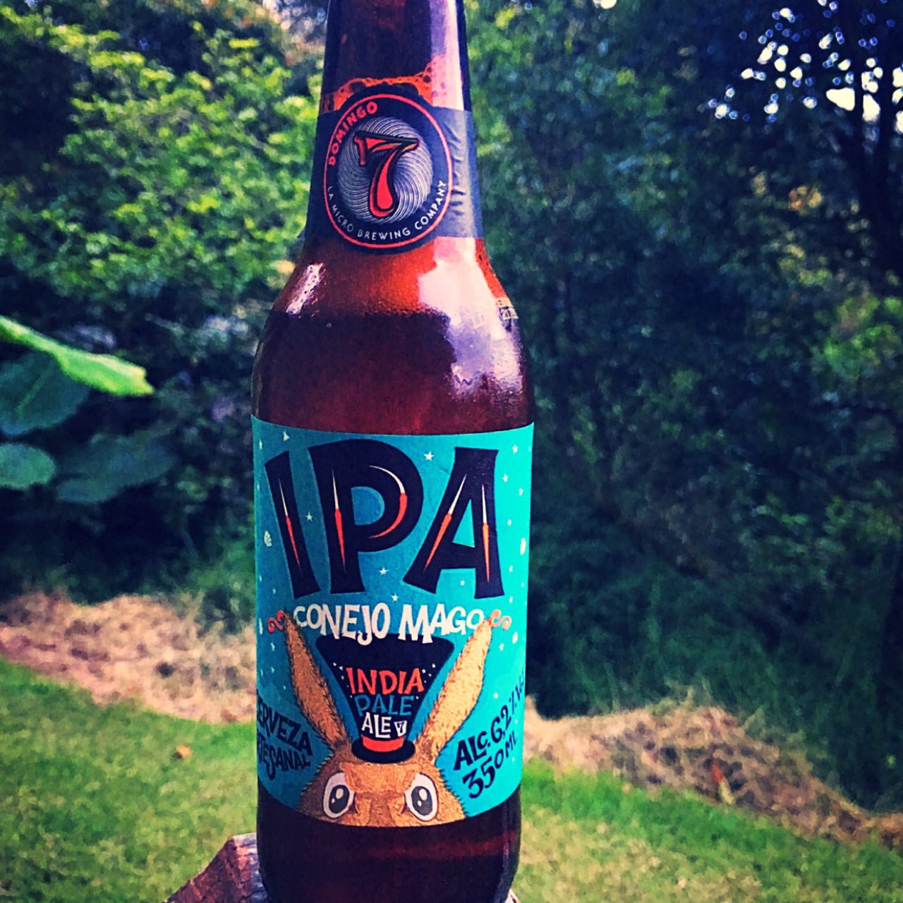 Conejo Majo, Costa Rica