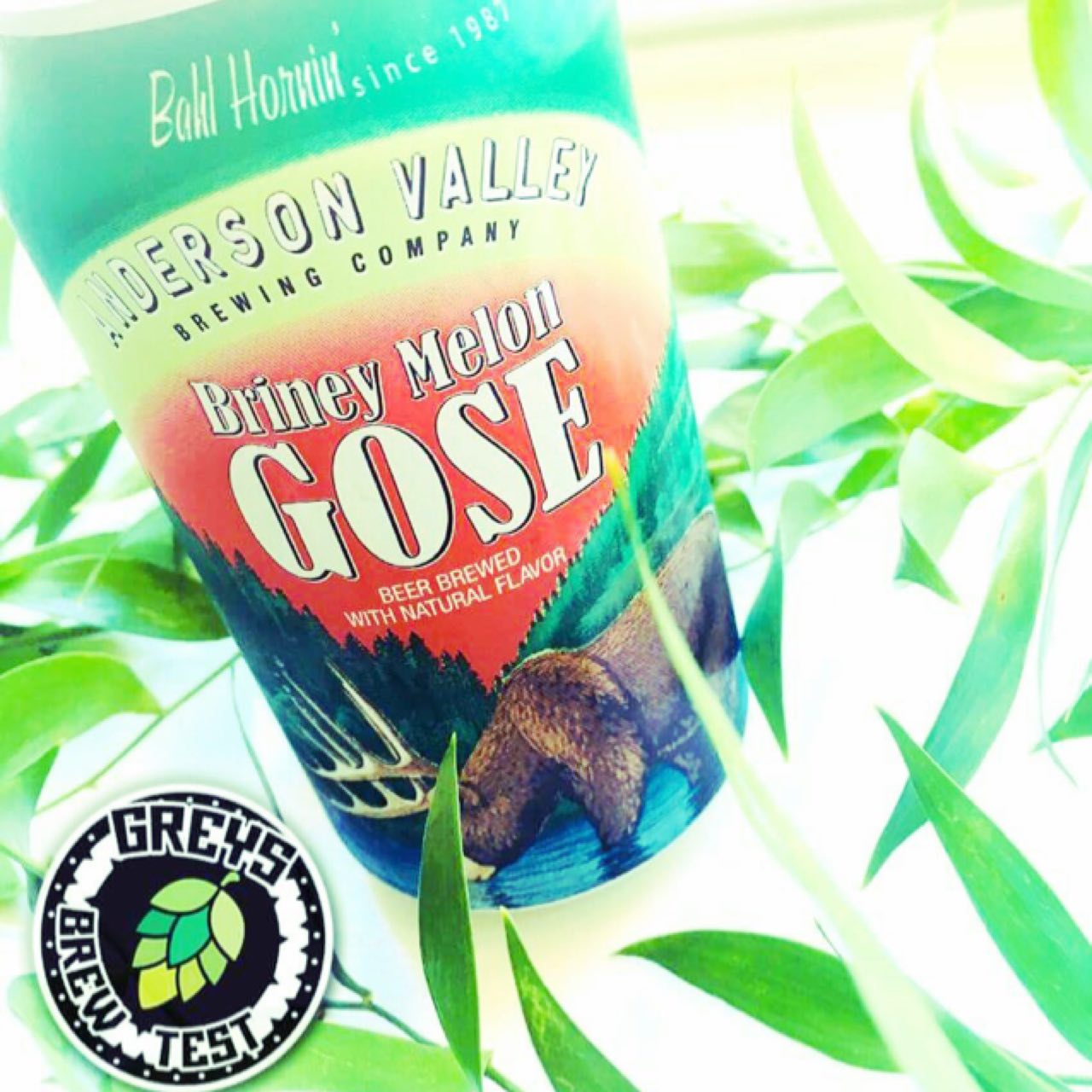 Briney Melon Gose, United States