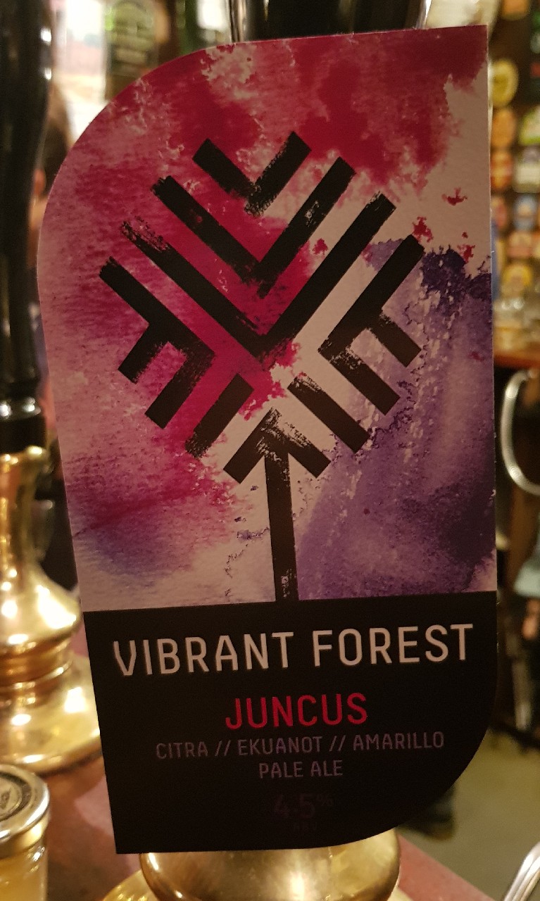 Juncus Vibrant Forr, England