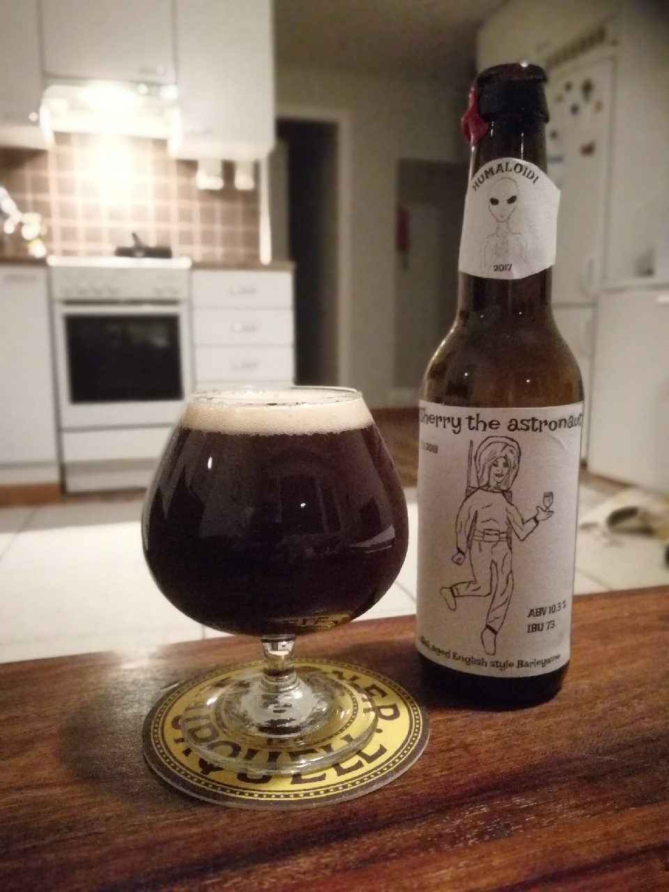 Sherry the astronaut, Finland