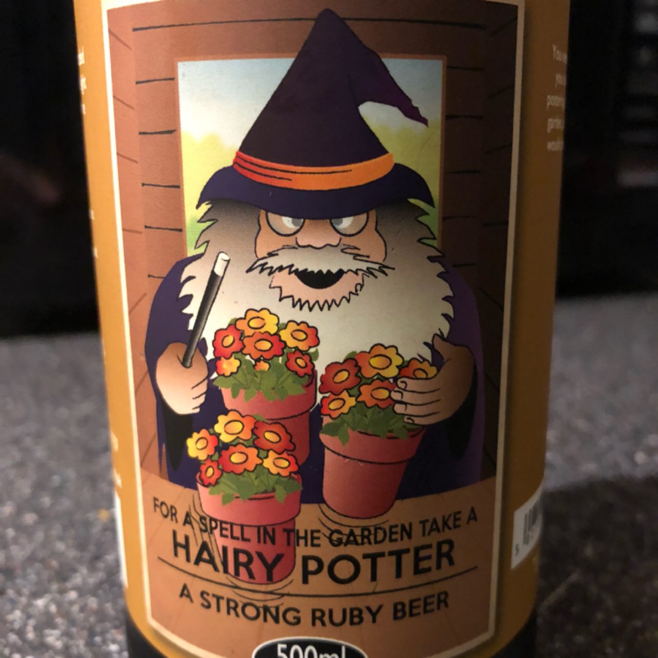 Hairy Potter, England