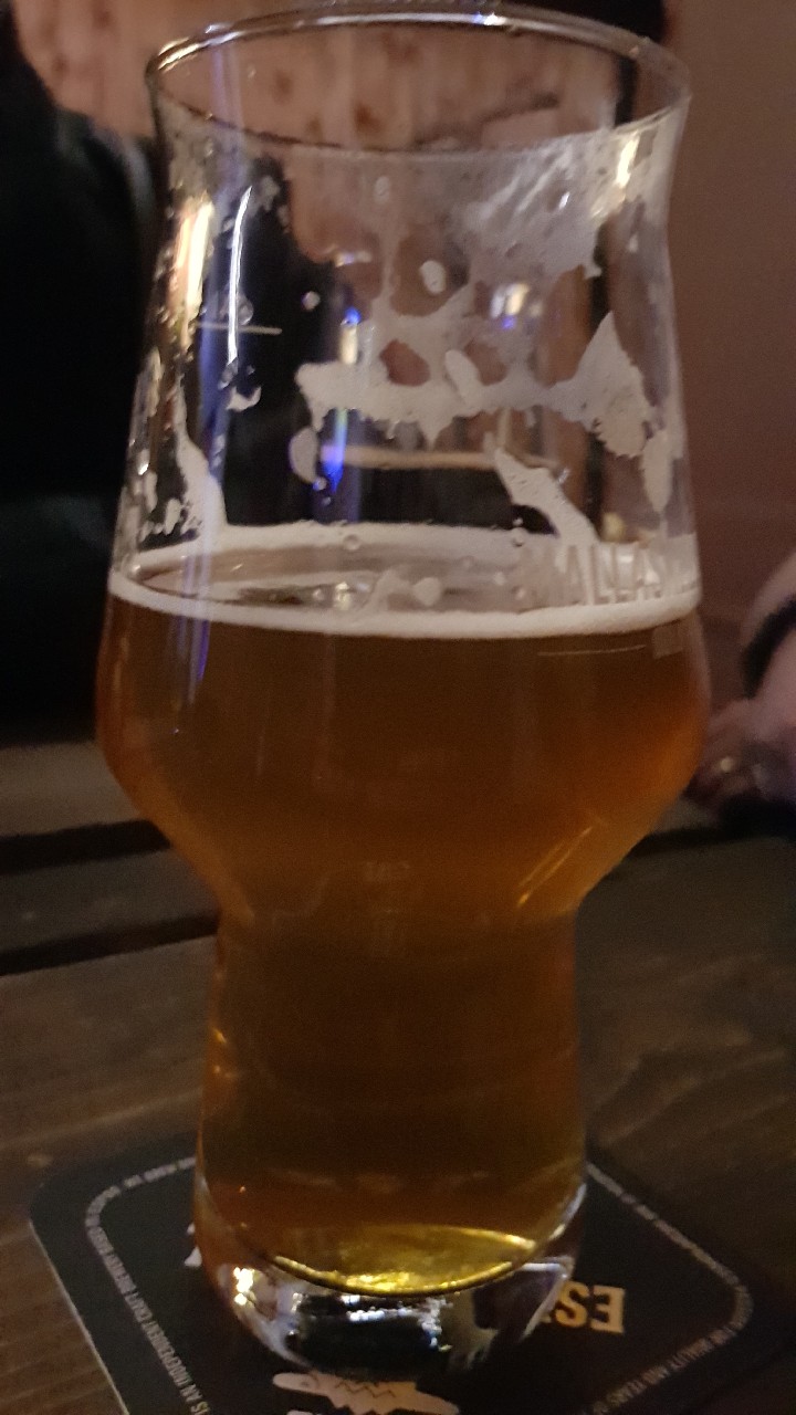 Klaus Fleming, Finland