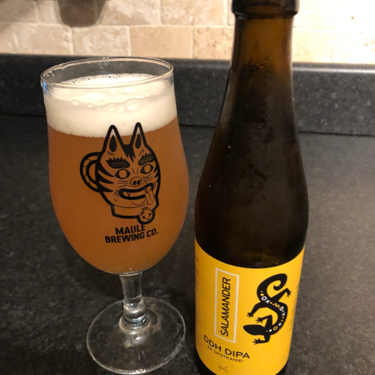 Salamander DDH DIPA, Poland