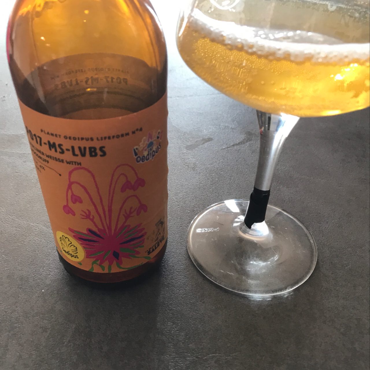 P017-MS-LVBS, France