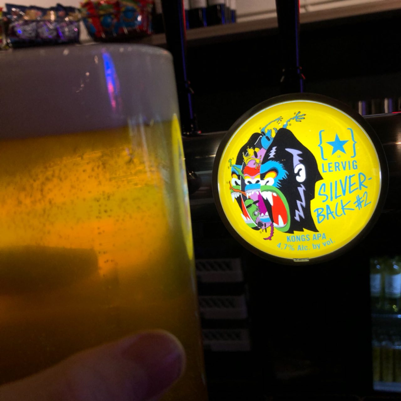 Silver Back #2, Norway