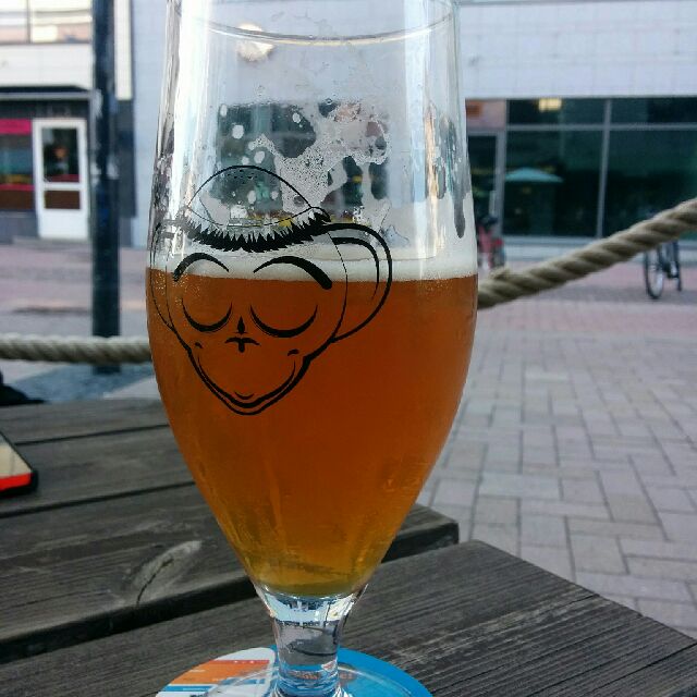 PissUp New Zealand Pale Ale, Finland