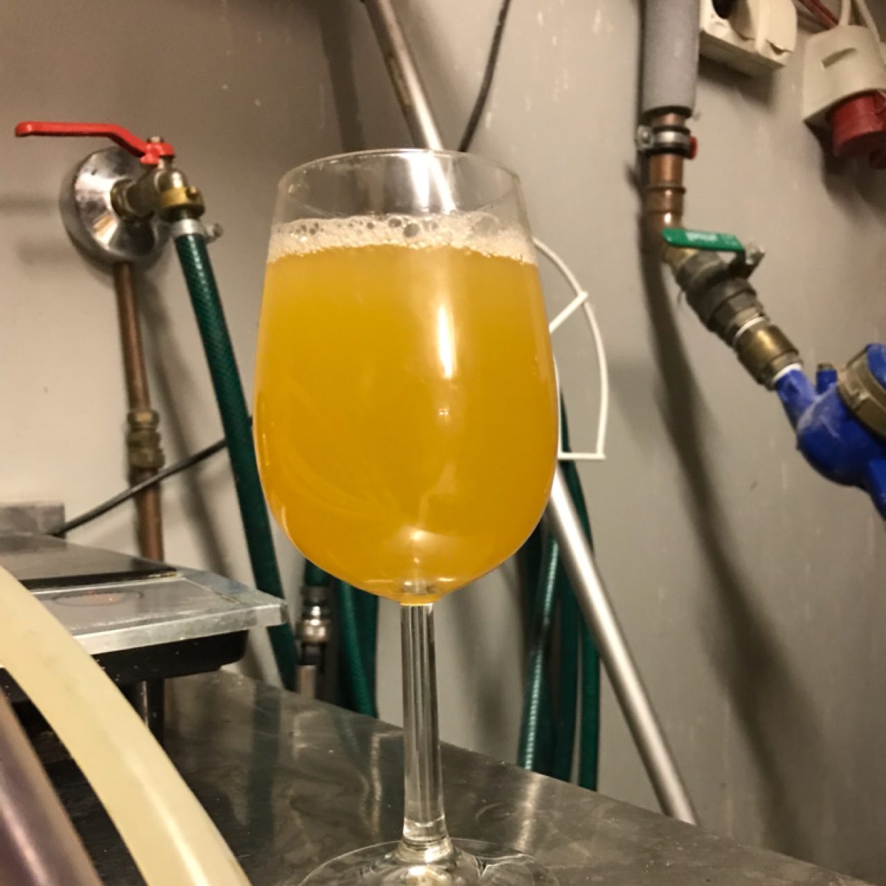 Mufloni Tyrni Sour, Finland