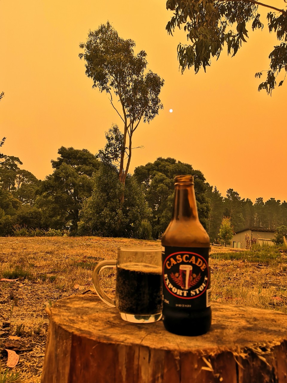 Cascade Export Stout, Australia
