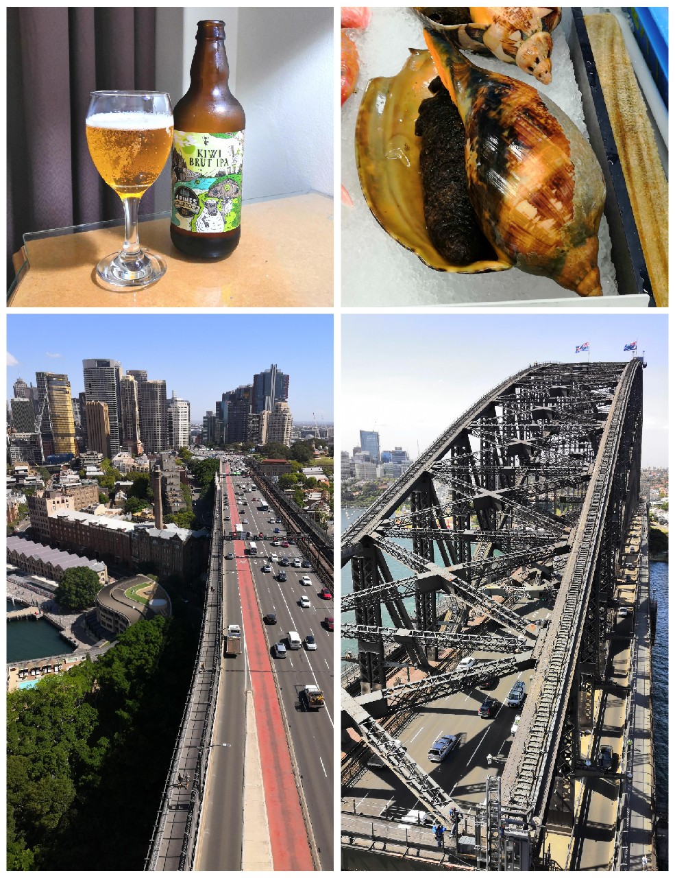 Kiwi Brut IPA, Australia