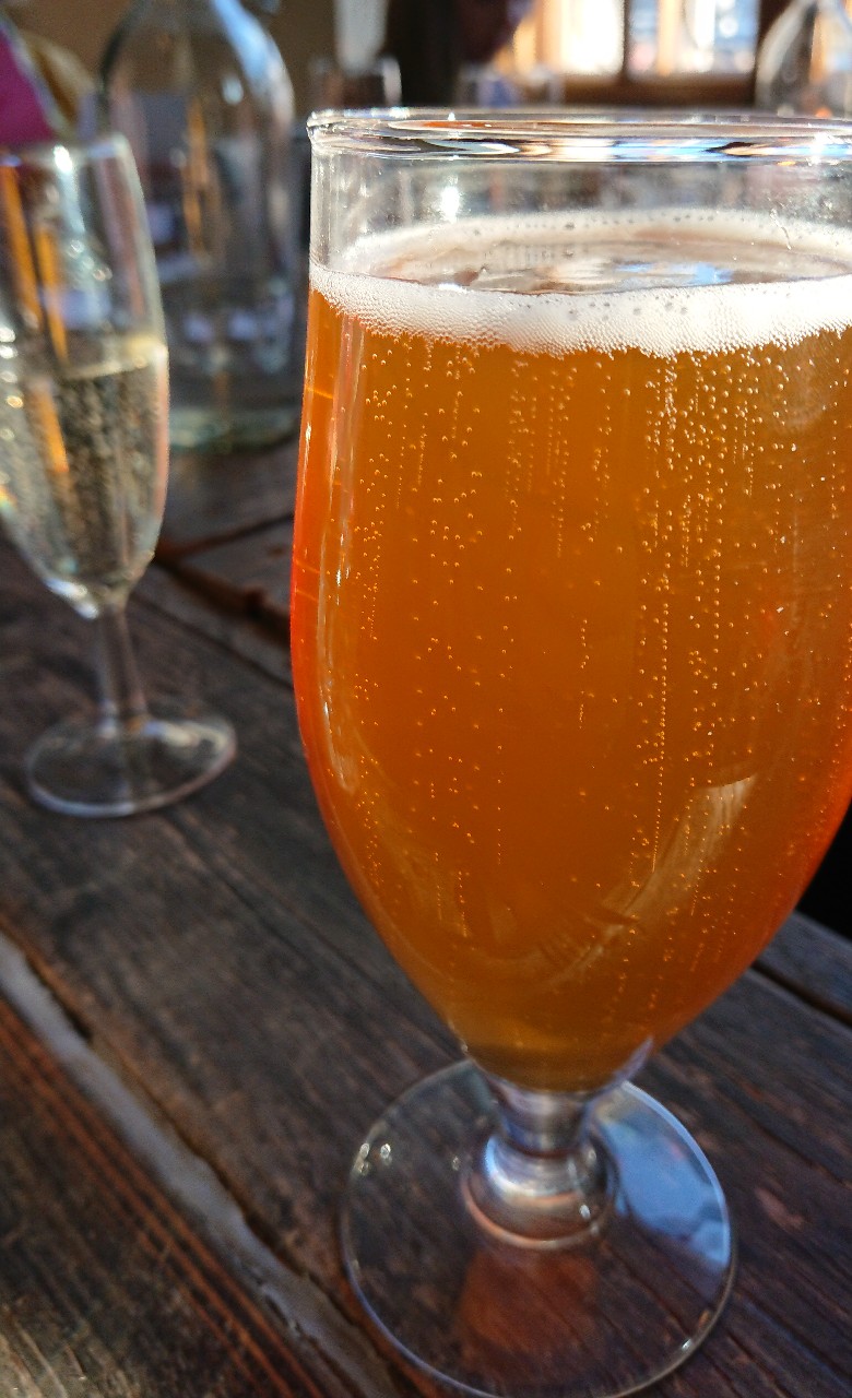 Wasteland: Oasis, Finland