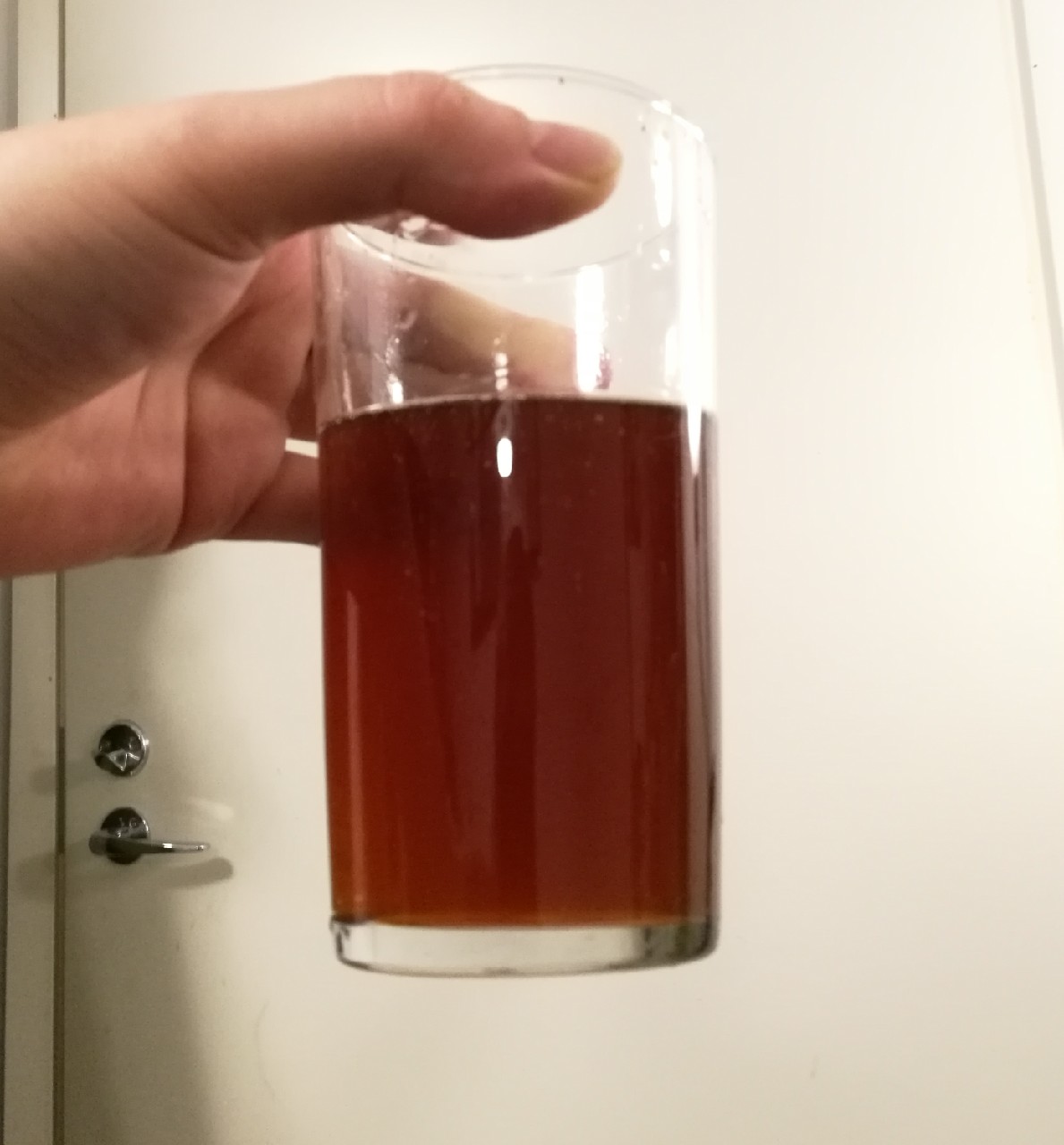 Ipanila Proto 1, Finland