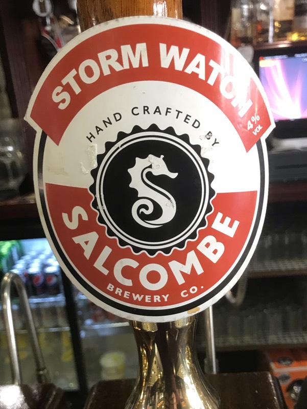 Salcombe Storm Watch, England