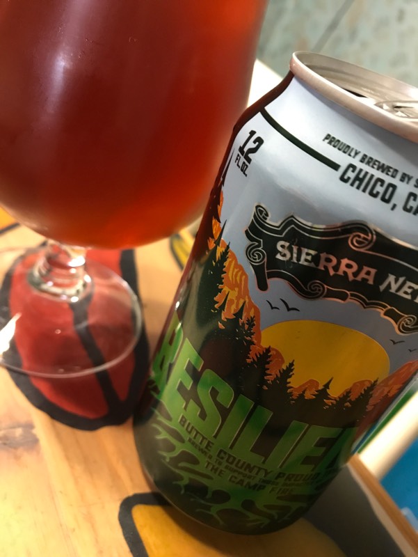 Resilience, United States